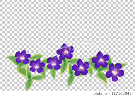 野牡丹の花のカード6 野牡丹の花のカード6 117163045