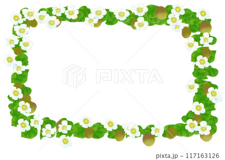 キウイの花と実のカード2 キウイの花と実のカード2 117163126