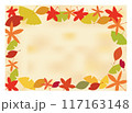 秋 117163148