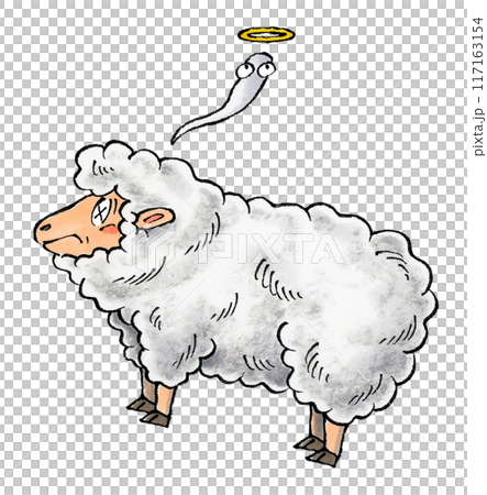 Dead Sheep Dead Sheep 117163154