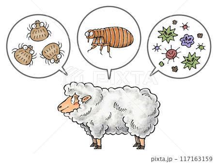 羊と寄生虫(ダニ、ノミ、病原菌) 117163159