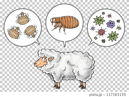 羊と寄生虫(ダニ、ノミ、病原菌) 117163159