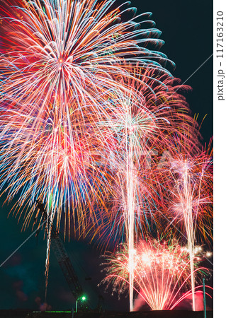 夜空に打ち上がる花火 夜空に打ち上がる花火 117163210