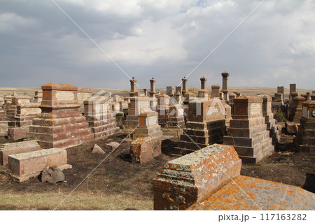 Historic Ruins of an Ancient City Scattered Across a Grassy Plain 117163282