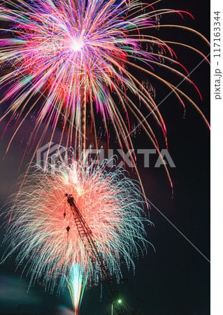 夜空を飾る真夏の花火 117163344