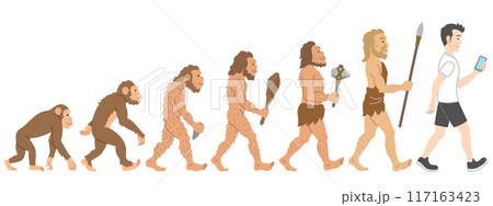 人類進化の過程イラスト 117163423