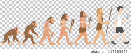 人類進化の過程イラスト 117163423