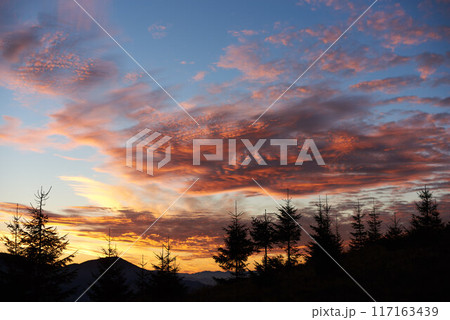 Row of silhouetted pine trees stands against vibrant sunset sky, painted with brilliant shades of pink, orange, purple. Dramatic clouds add depth to scene, creating mesmerizing and tranquil landscape. 117163439