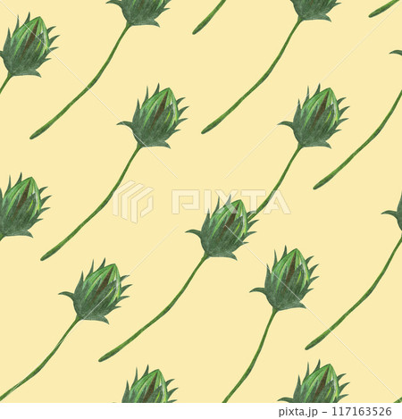 Topinambur Flower Bud Seamless Pattern. Floral Digital Paper. Topinambur Flower Bud Seamless Pattern. Floral Digital Paper. 117163526