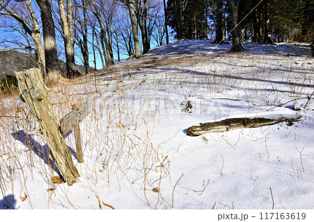 厳冬の丹沢山地 雪のヨモギ平に続くトレース 厳冬の丹沢山地 雪のヨモギ平に続くトレース 117163619