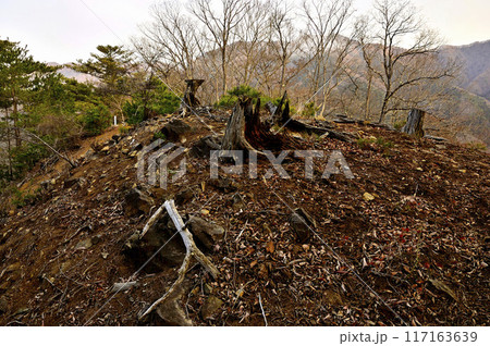 丹沢の秋葉山山頂より　朝焼けの道志山塊　水喰ノ頭 117163639