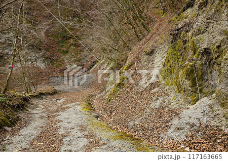 丹沢の浦安峠 大界木山へ向かうバリエーションルートの登山口 丹沢の浦安峠 大界木山へ向かうバリエーションルートの登山口 117163665