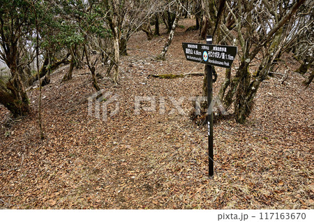丹沢の大界木山山頂　東海自然歩道の道標 117163670