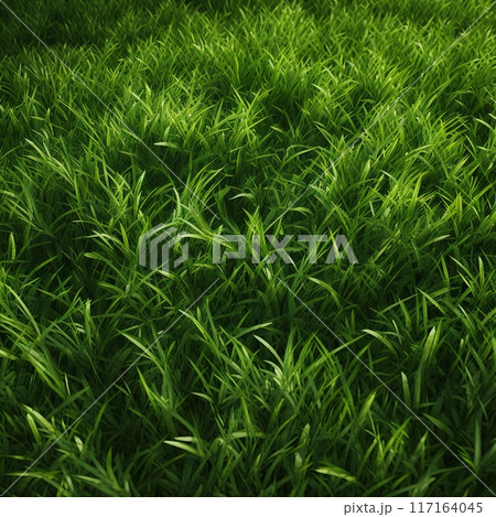 Lush and vibrant green grass texture, ideal for creating a natural and refreshing background. 117164045