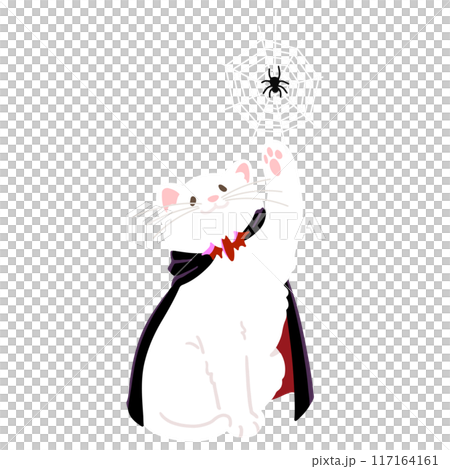 簡單可愛的萬聖節插畫，白貓玩蜘蛛，沒有主線 117164161