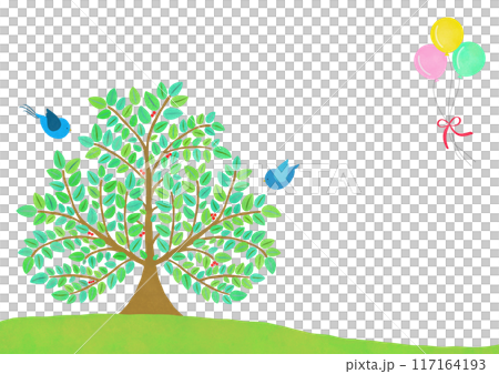 藍鳥和木框 117164193