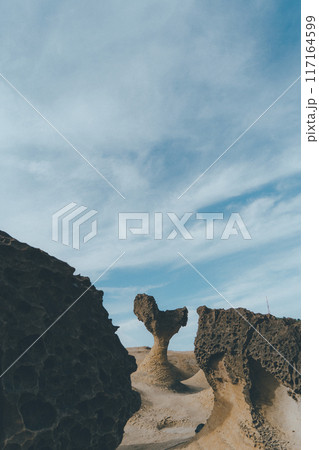 風化した岩 117164599