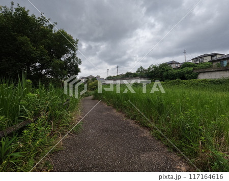 名古屋市緑区 神沢池付近 名古屋市緑区 神沢池付近 117164616