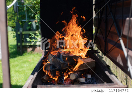Vivid Backyard Barbecue Fire Igniting Charcoal and Wood 117164772