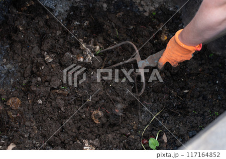 Gardening Work 117164852