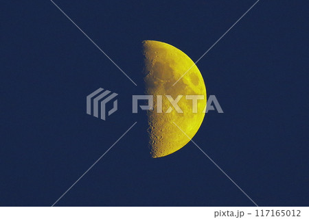 半月のお月様 117165012