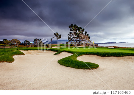 Pebble Beach golf course, Monterey, California, usa 117165460