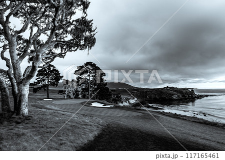 Pebble Beach golf course, Monterey, California, usa 117165461