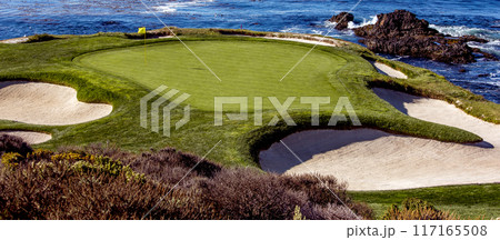 Pebble Beach golf course, Monterey, California, usa 117165508