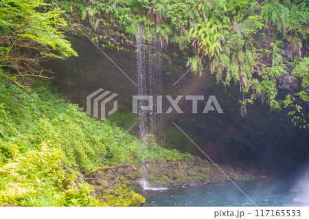 【静岡県】天城・浄蓮の滝の小滝に虹 117165533