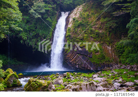 【静岡県】天城・浄蓮の滝 【静岡県】天城・浄蓮の滝 117165540