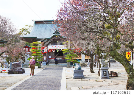 福岡県築上町にある梅の名所綱敷天満宮境内と社殿 117165613
