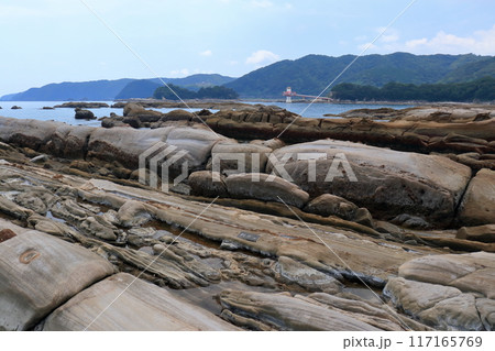 竜串海岸の景観　夏　（高知県　土佐清水市） 117165769