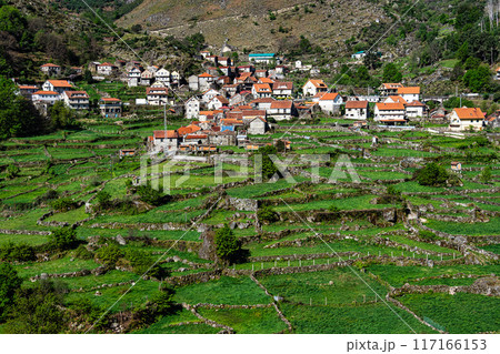 Small village of Roucas with its traditional agricultural, terraced fields at the Peneda Geres National Park in Portugal Small village of Roucas with its traditional agricultural, terraced fields at the Peneda Geres National Park in Portugal 117166153