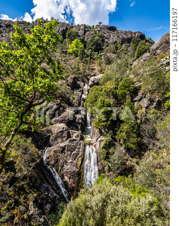 The beautiful Arado Waterfall, Cascata do Arado at the Peneda Geres National Park in Portugal, Europe The beautiful Arado Waterfall, Cascata do Arado at the Peneda Geres National Park in Portugal, Europe 117166197