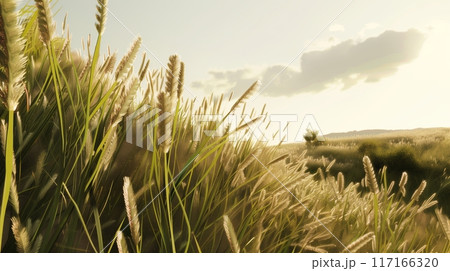 The picture of long wheat grass and shrubbery. 117166320