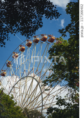 Ferris wheel in Gorky Park, view through the trees 117166402