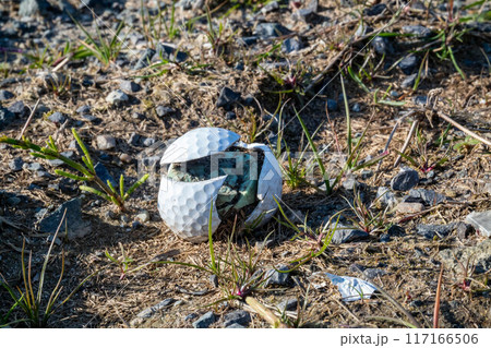 A broken golf ball is lying next to the golf site A broken golf ball is lying next to the golf site 117166506