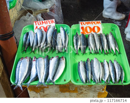 マーケットの魚 117166714