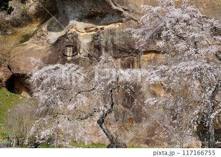 北限の摩崖仏、満開の桜 117166755