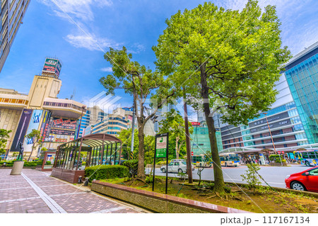 日本の横浜都市景観　横浜駅や避難所案内。「横浜駅周辺地区一時避難場所　沢渡中央公園520m」＝18日 117167134