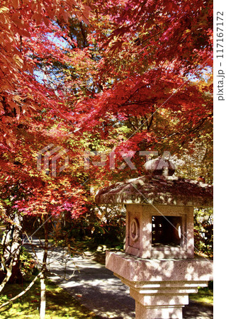 秋の山本不動尊・錦秋・モミジ（福島県・棚倉町） 117167172