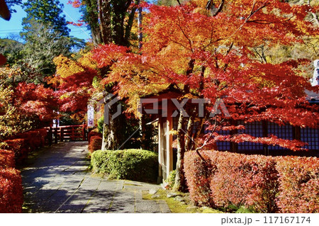 秋の山本不動尊・錦秋・モミジ（福島県・棚倉町） 117167174