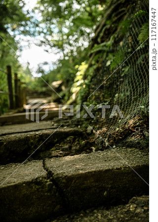 山の道 山の道 117167447