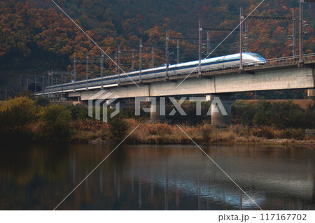 紅葉の吉井川を渡る山陽新幹線500系（16両編成時代） 117167702