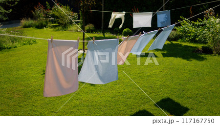 Colorful laundry drying on clotheslines in a backyard with a green lawn and bushes on a clear summer day. 117167750
