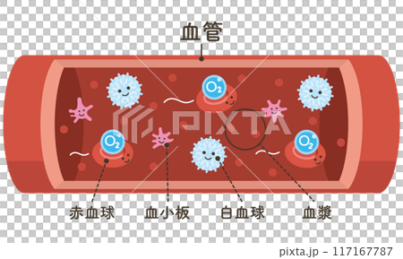血管を流れる細胞たち　O2（酸素）をのせた赤血球（文字あり） 117167787