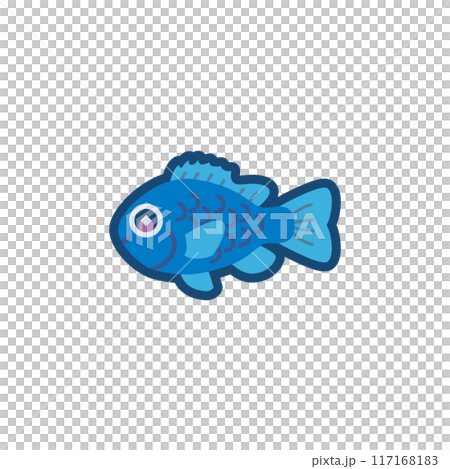 Illustration of a cute blue damselfish Illustration of a cute blue damselfish 117168183