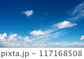 青空に浮かぶ雲 117168508