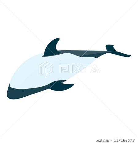 3D Isometric Flat Vector Set of Types Of Dolphins, Educational Classification. Item 4 3D Isometric Flat Vector Set of Types Of Dolphins, Educational Classification. Item 4 117168573