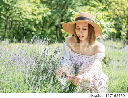 Young beautiful woman picking lavender flowers. 117168580